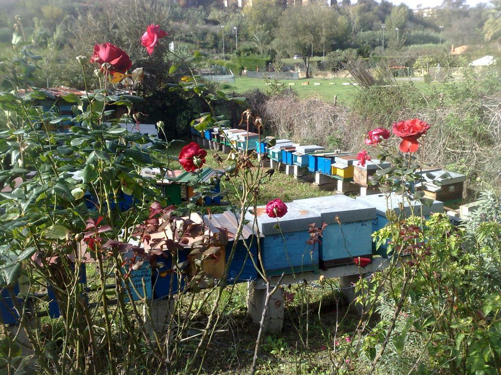 Il Giardino Di Gabri Frühstückspension