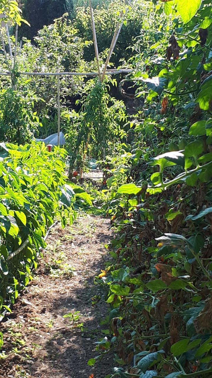 Il Giardino Di Gabri Frühstückspension