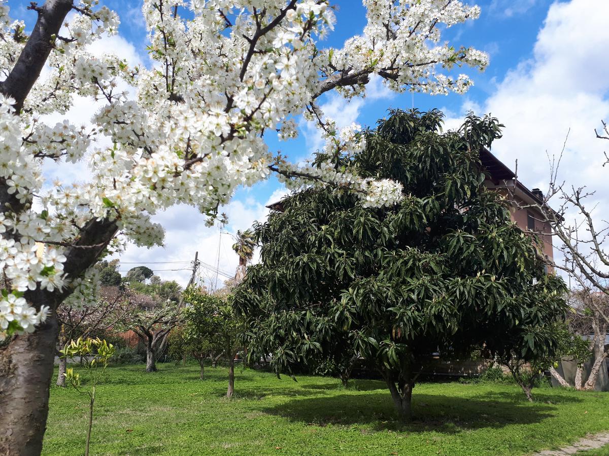 Il Giardino Di Gabri Rom